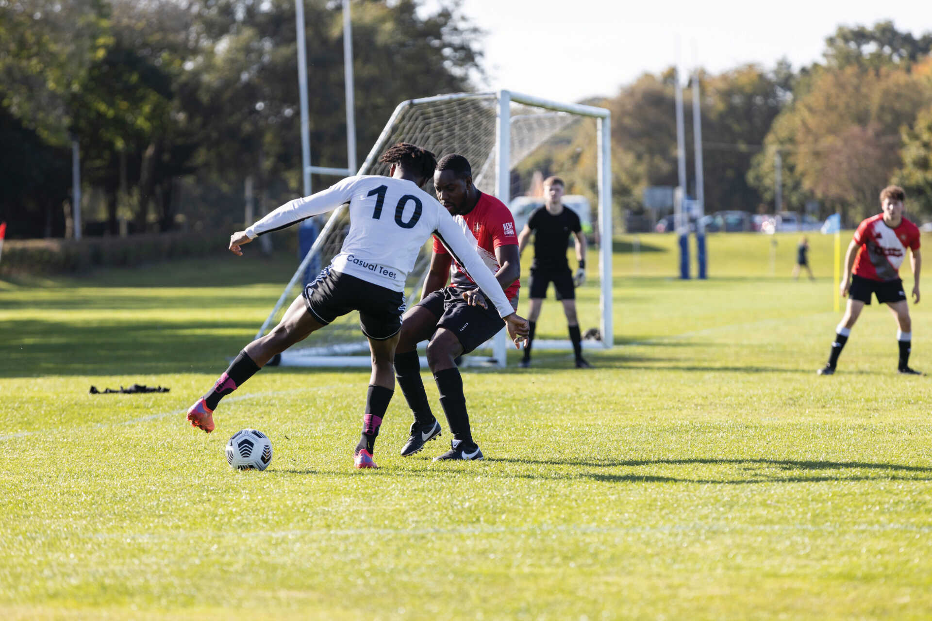 他的实力不 他的实力不