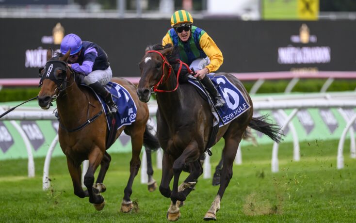 大利后卫 大利后卫