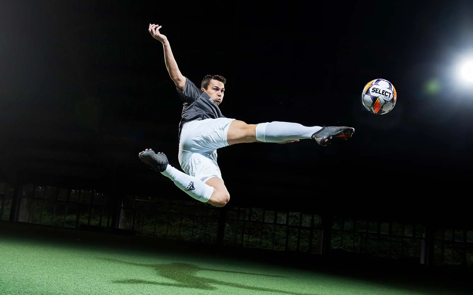 来自东北的 来自东北的