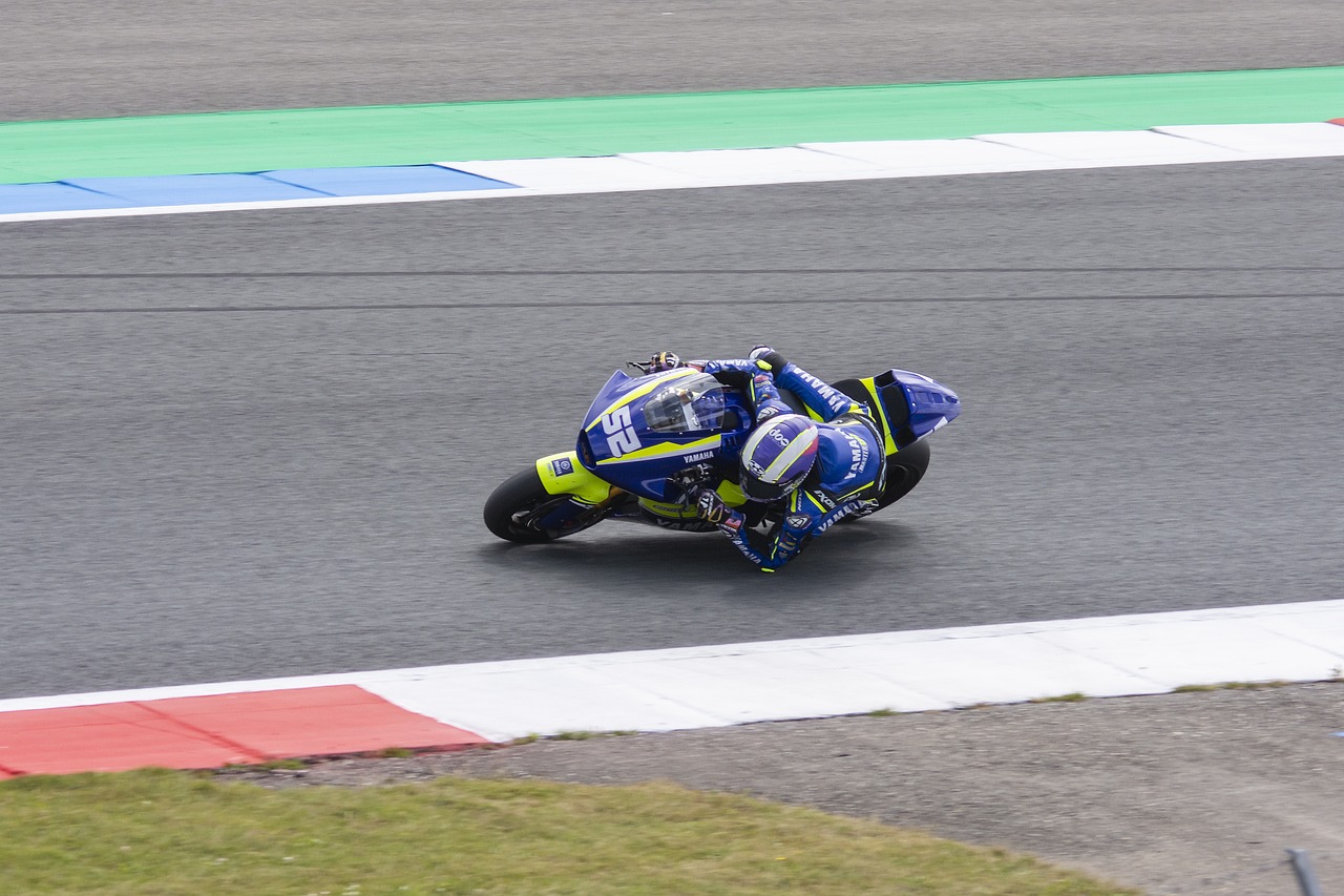 仅引起了球 仅引起了球